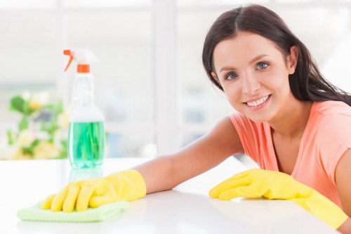 Secure payment area for Hayes Carpet Cleaners with protected checkout features