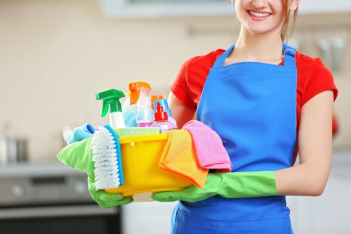 Professional stain removal in Hayes for carpets and upholstery