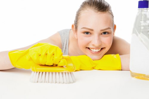 Carpet stain extraction service in Hayes
