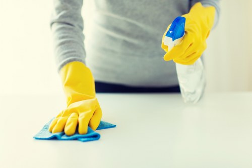 Hayes Carpet Cleaners introduction and company overview