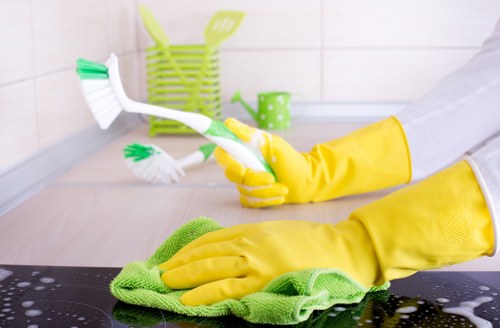 Hayes Carpet Cleaners commitment to quality and cleaner indoor environments