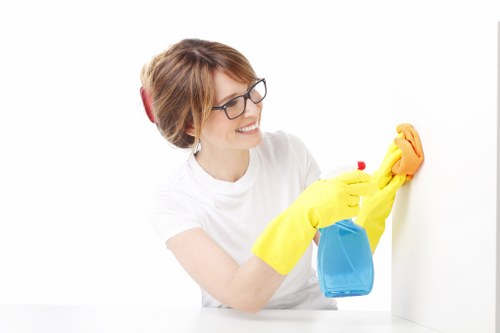 Deep cleaning treatment for pet odours in Hayes home