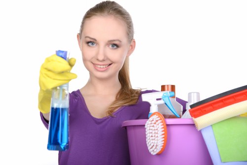 Removing pet urine smell from upholstery in Hayes