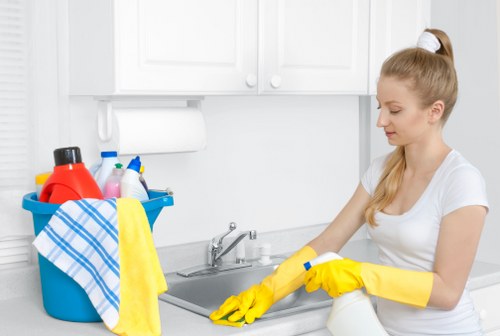 Deep cleaning upholstery furniture in a Hayes home